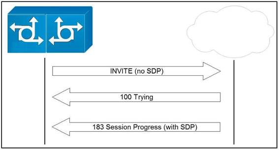 300-815 PDF Testsoftware