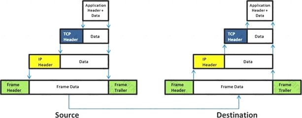 ECSAv10 dumps exhibit